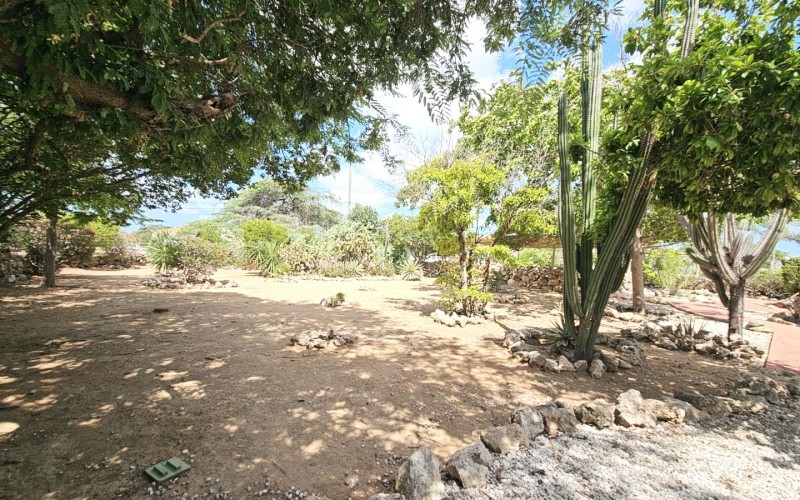 Traditional Cunucu home