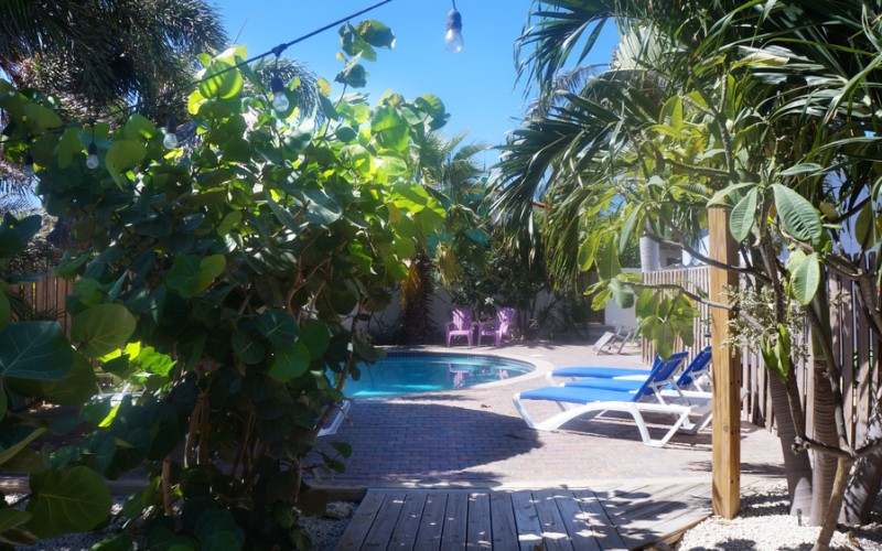 Paulines Apartments